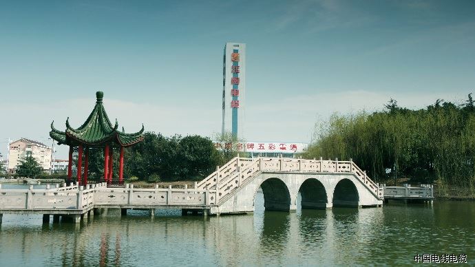 2019-2024年股利支付率超60%