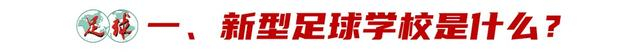 新型足球学校破解体教分离困境 激活青少年足球