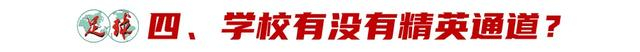 新型足球学校破解体教分离困境 激活青少年足球